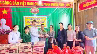 អំណោយ​ដើម​ខ្មុក​១​ម៉ឺន​ដើម​ដល់​ភូមិ​ពោធិ៍​ជូ​លុង