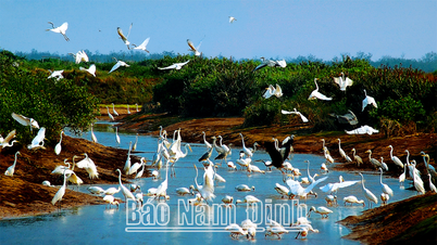 Xuan Thuy National Park: Aiming to become an ASEAN Heritage Park