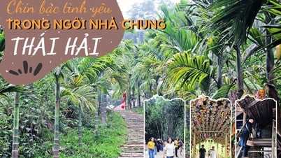 Chín bậc tình yêu trong ngôi nhà chung Thái Hải