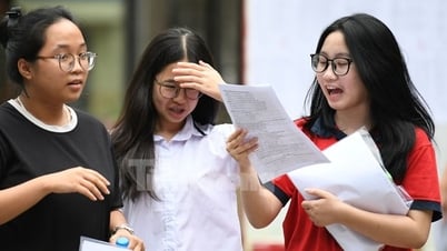 Guérir les apprentissages et les enseignements négatifs à la racine : une solution globale