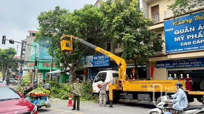 TP. Thái Nguyên: Cắt tỉa cây xanh, bảo đảm an toàn trong mùa mưa bão