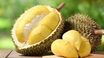 Bộ Nông nghiệp và Môi trường họp khẩn về sầu riêng