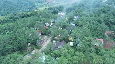 Bổ sung sân bay Măng Đen, Vân Phong vào quy hoạch cảng hàng không