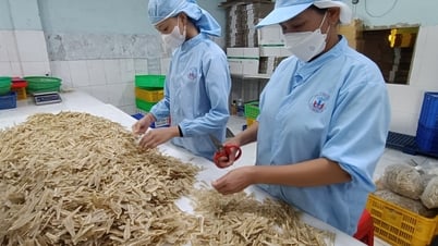 Doanh nghiệp thủy sản tăng tốc xuất hàng vào thị trường Mỹ