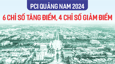 PCI Quảng Nam 2024: 6 chỉ số tăng điểm, 4 chỉ số giảm điểm