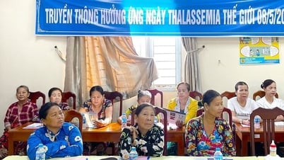 Hưởng ứng Ngày Thalassemia