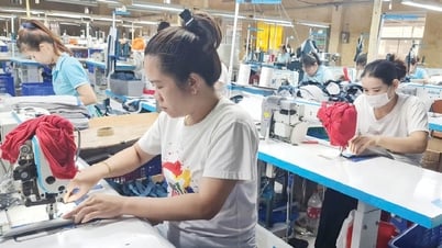 Sáng tạo từ thực tiễn sản xuất