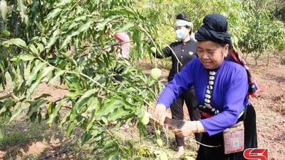 호 아저씨가 방문한 곳이 자랑스럽습니다