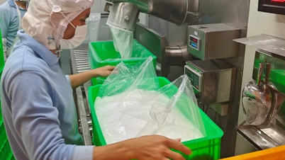Hỗ trợ doanh nghiệp phát triển sản xuất bền vững