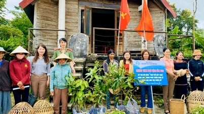 Krông Bông, Đắk Lắk: Hội viên tự chủ kinh tế nhờ được hỗ trợ khởi nghiệp