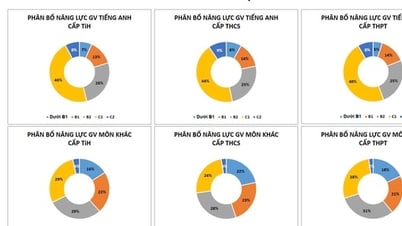 Công bố kết quả khảo sát năng lực tiếng Anh của cán bộ, giáo viên TP HCM