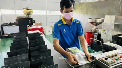 Đồng Nai nâng cao giá trị cho cây công nghiệp chủ lực