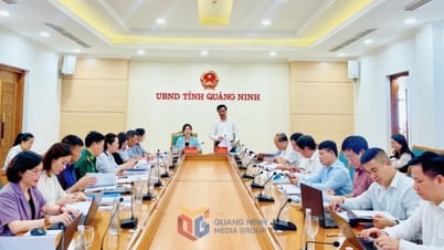 Đoàn công tác Bộ GD&ĐT thống nhất công nhận tỉnh Quảng Ninh đạt chuẩn phổ cập giáo dục, xóa mù chữ năm 2024 mức cao nhất