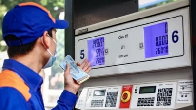 Giá xăng dầu tiếp đà giảm, có loại giảm gần 700 đồng/lít