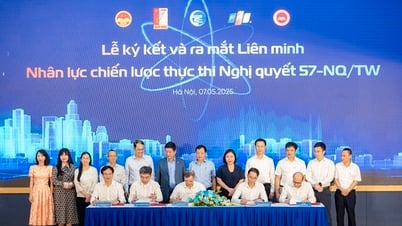Établir une alliance stratégique pour mettre en œuvre la résolution 57