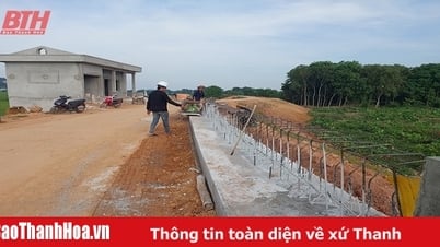 Gấp rút tu bổ các điểm xung yếu đê điều phục vụ phòng, chống lụt bão