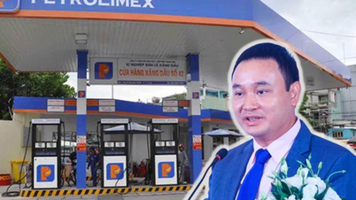 តើក្រុមហ៊ុន Petrolimex ធ្វើដូចម្តេចក្រោមលោក Dao Nam Hai?