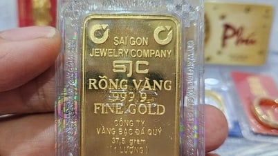 នៅចុងថ្ងៃទី 8 ខែឧសភាតម្លៃដុំមាស SJC បង្កឱ្យមានការភ្ញាក់ផ្អើល។