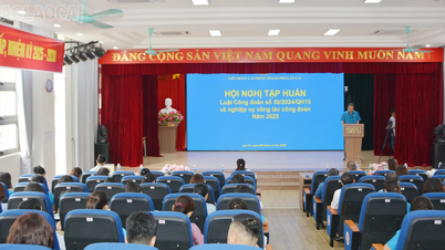 มีแกนนำและสมาชิกสหภาพแรงงานจำนวน 250 คน ได้รับการฝึกอบรมด้านกฎหมายประกันสังคมและกฎหมายสหภาพแรงงาน