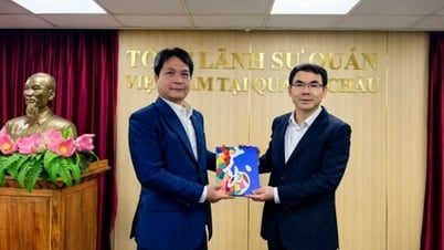 Guangzhou City (China) wishes to promote substantive cooperation with ministries, branches and localities of Vietnam.