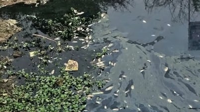 Phường Nham Biền: Buộc cơ sở làm bột bún, bánh nghi gây ô nhiễm dừng hoạt động