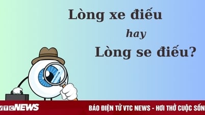 Thử thách Tiếng Việt: 'Lòng xe điếu' hay 'lòng se điếu'?