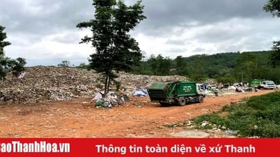 Hiệu quả công nghệ xử lý rác thải bằng men vi sinh ở Thạch Thành