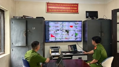 Phát triển camera AI tạo nền tảng cho đô thị thông minh