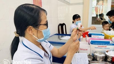 [Nóng] 3 người ở huyện Cẩm Mỹ bị chó nghi dại cắn