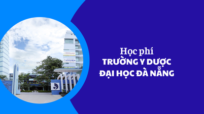 Học phí Trường Y Dược–Đại Học Đà Nẵng năm 2025-2026