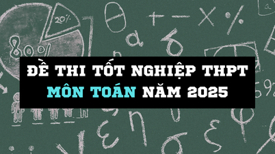 20 đề ôn thi Toán tốt nghiệp THPT 2025 cấu trúc mới giải chi tiết