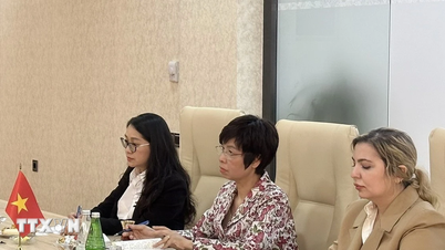 Tổng giám đốc TTXVN hội đàm với Chủ tịch Hãng thông tấn Azertac của Azerbaijan