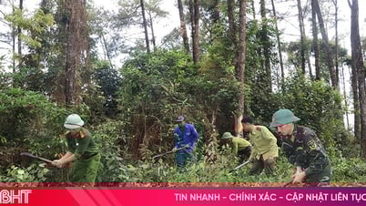 Räumung eines fast 4 km langen Brandschutzstreifens im Vu Quang Nationalpark