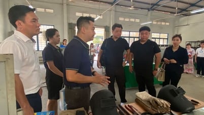 Kết nối cung - cầu lao động