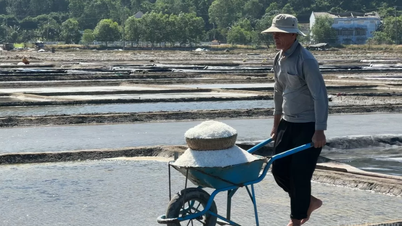 Mai một nghề muối Sa Huỳnh giữa vùng di sản văn hóa