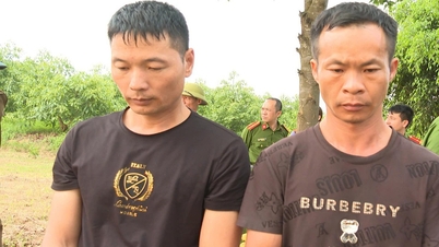 Tạm giữ hình sự hai nghi phạm Trung Quốc xâm phạm lăng mộ vua Lê Túc Tông