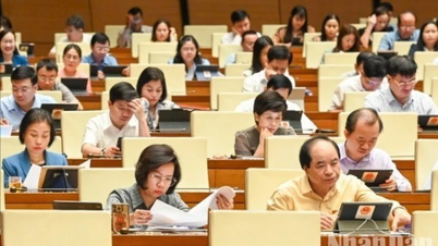 Thống nhất một chế độ công vụ từ Trung ương đến cấp xã
