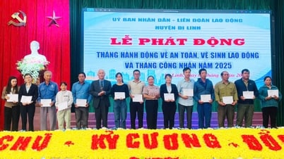 Di Linh៖ ចាប់ផ្តើមខែកម្មករឆ្នាំ២០២៥