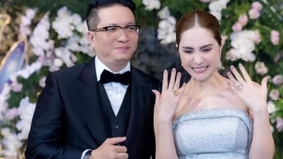 Hồ sơ công ty của chồng Đoàn Di Băng phân phối dầu gội đầu bị thu hồi