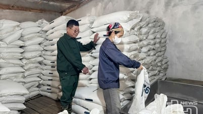 家畜の廃棄物を積極的に処理する