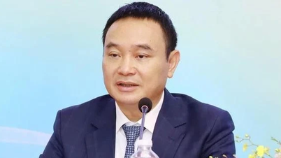 Petrolimex-Generaldirektor Dao Nam Hai wurde vorübergehend von seinem Posten suspendiert.