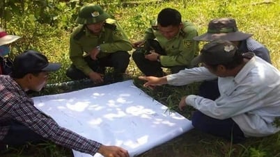 Kiểm lâm Quảng Bình: Giữ vững màu xanh trù phú ở ‘chảo lửa’ miền Trung