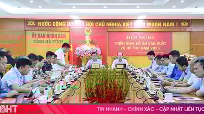 An toàn, hiệu quả là mục tiêu hàng đầu trong sản xuất hè thu 2025