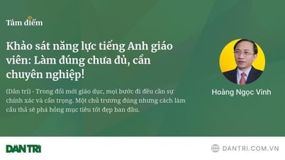 Umfrage zur Englischkompetenz von Lehrkräften: Es reicht nicht, es richtig zu machen, es muss professionell sein!