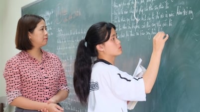 133 học sinh được miễn thi tốt nghiệp THPT và ưu tiên xét tuyển thẳng vào đại học