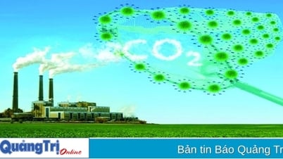 Gần 2,57 tỉ đồng thực hiện dự án “Thúc đẩy quá trình chuyển dịch năng lượng bền vững tại Việt Nam”