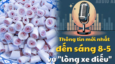 Audio AI: Thông tin mới nhất đến sáng 8-5 vụ "lòng xe điếu"
