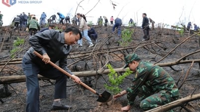 Góp sức thực hiện mục tiêu trồng 1 tỷ cây xanh