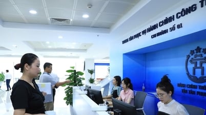 Prueba piloto de reserva de número de cola en línea a través de la aplicación iHanoi