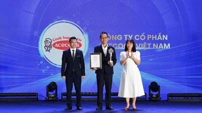 Acecook Việt Nam nhận giải "Doanh nghiệp có chính sách phúc lợi ưu việt" tại Vietnam ESG Awards